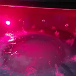 Na Granicy Wynajem * Stankowa (Nowy Sacz)